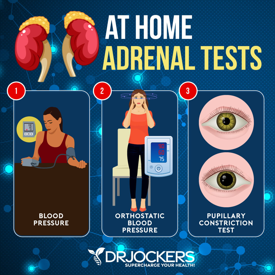 adrenal function