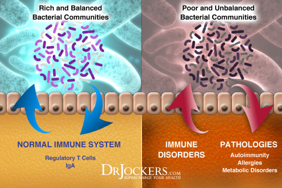 dysbiosis