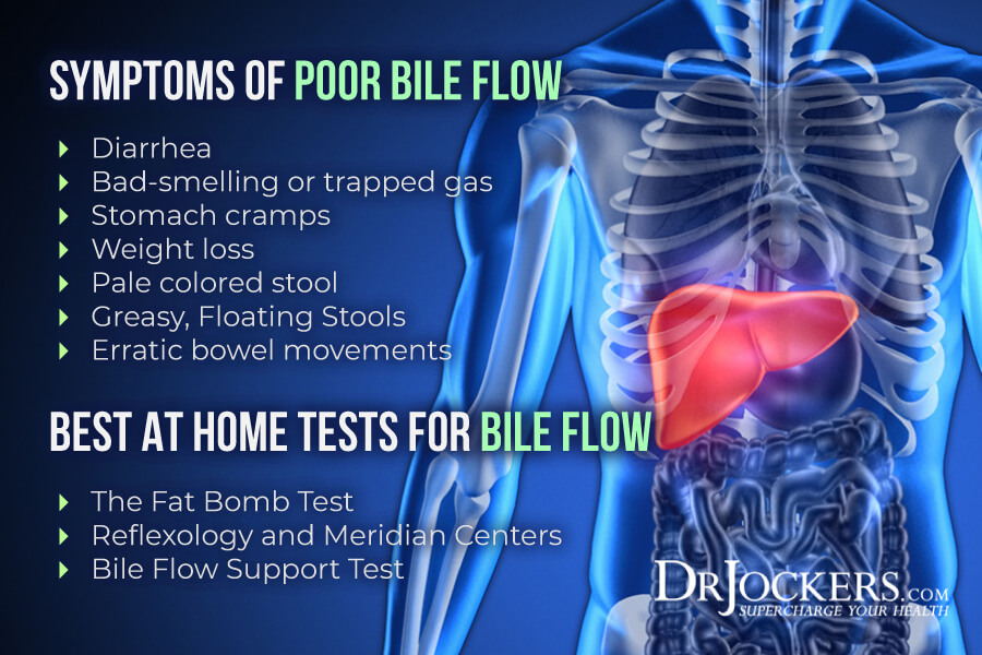 digestive health testing, Functional Digestive Health Testing to BioHack Your Gut!