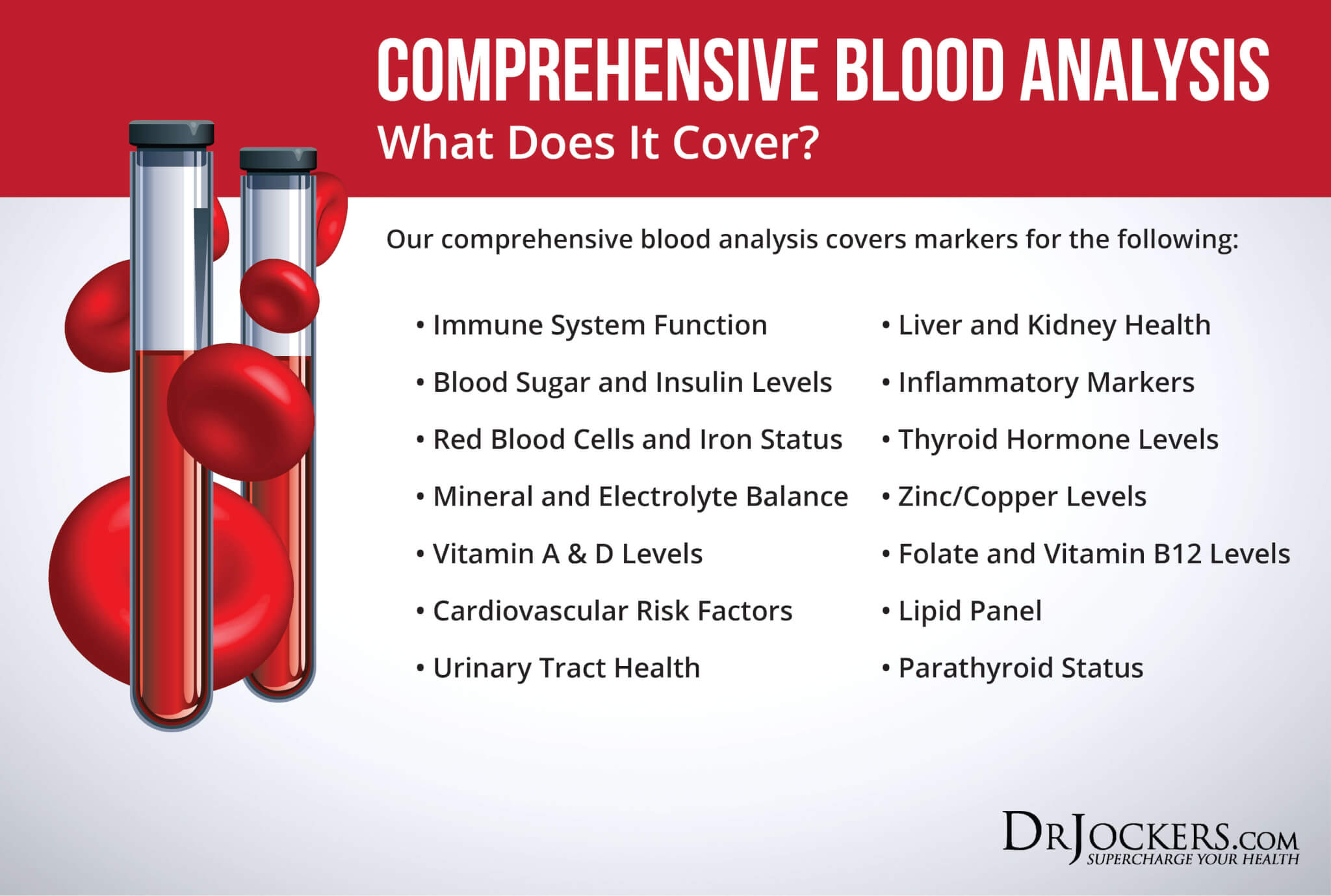 digestive health testing, Functional Digestive Health Testing to BioHack Your Gut!