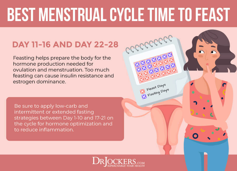 menstrual cycle