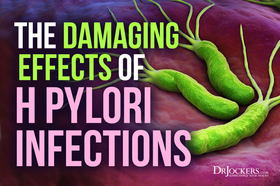 h pylori