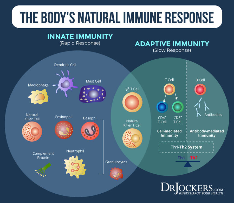 immune support