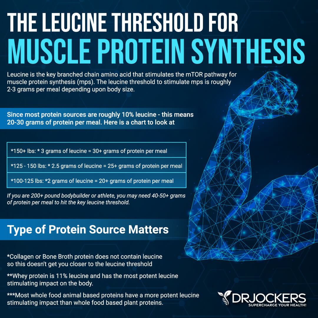 protein powders