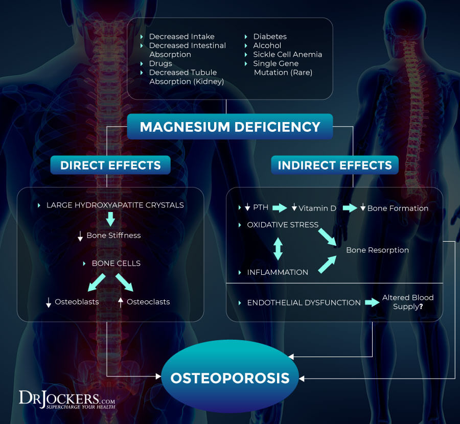 magnesium improves brain, 7 Ways Magnesium Improves Brain Health