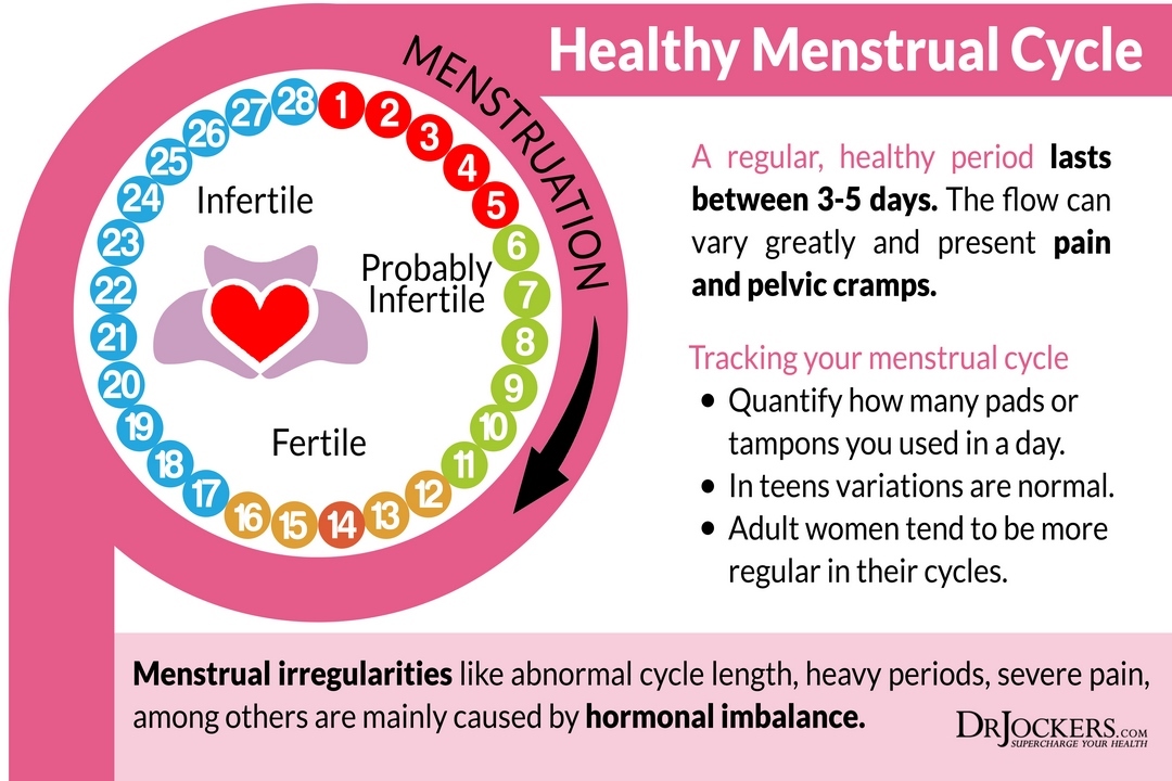 menstrual cycle