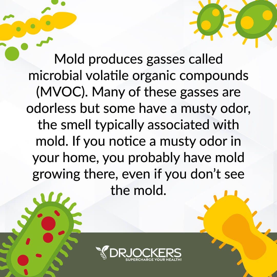 mold toxicity