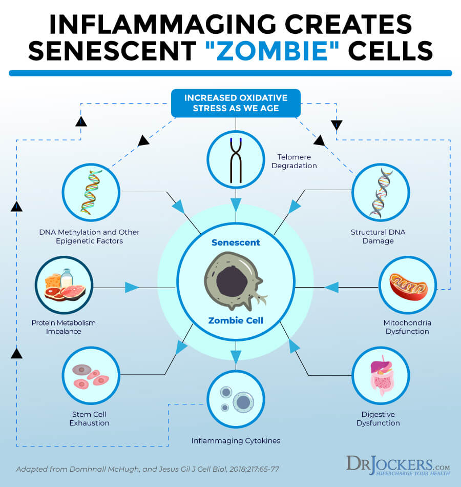 Inflammaging