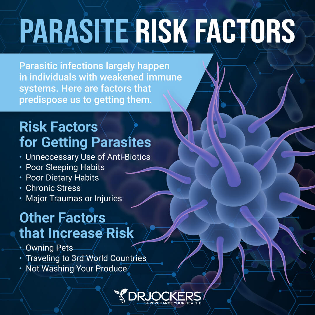 parasite infections