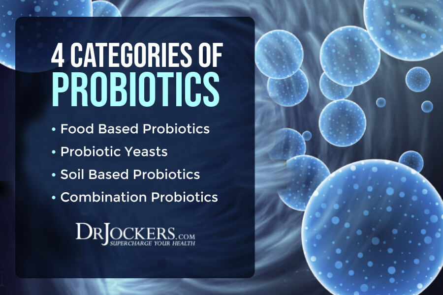 Probiotics, Probiotics: Benefits, Categories, and Protocols