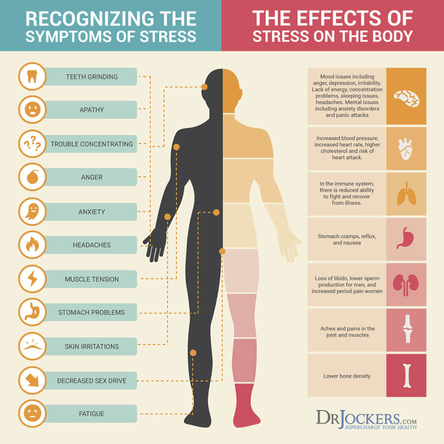 Stress Resilience, Stress Resilience: 12 Strategies to Grow Stronger Through Stress