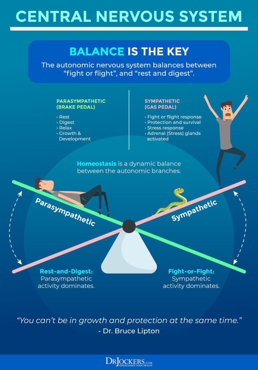 Stress Resilience, Stress Resilience: 12 Strategies to Grow Stronger Through Stress