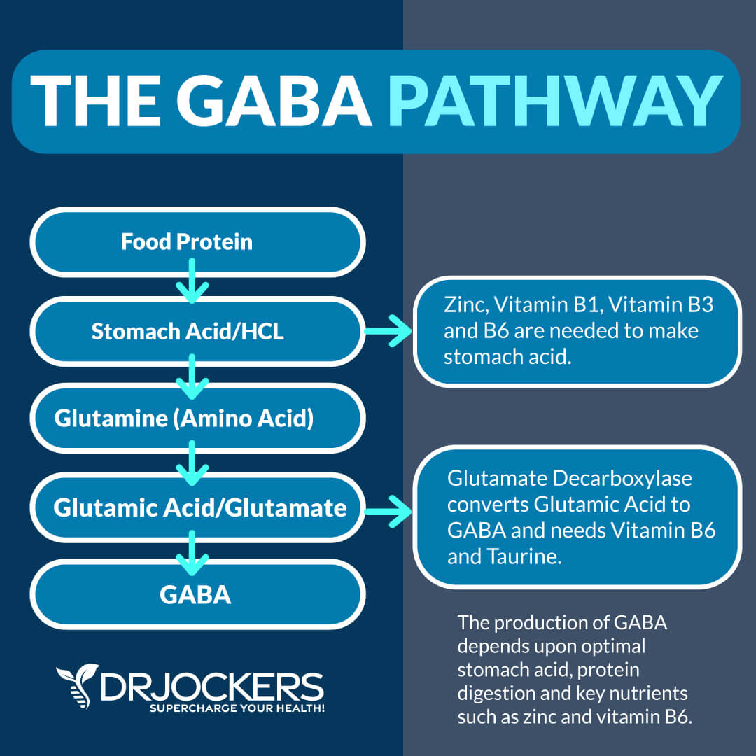 GABA