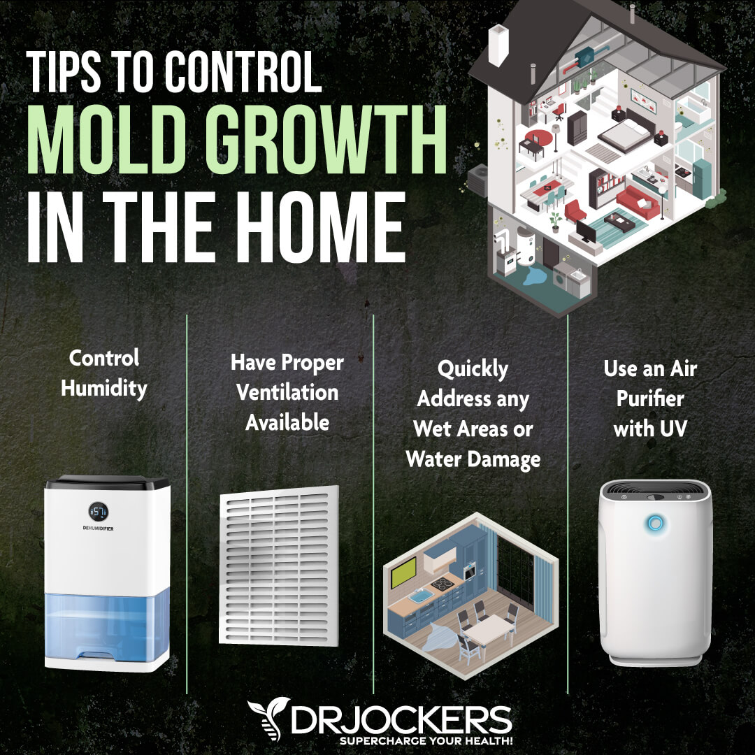 mold toxicity