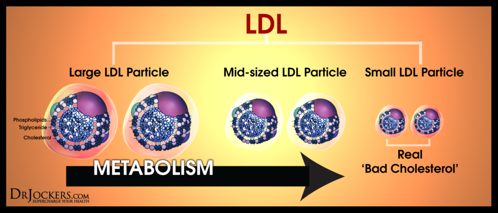 High Cholesterol, High Cholesterol on a Ketogenic Diet