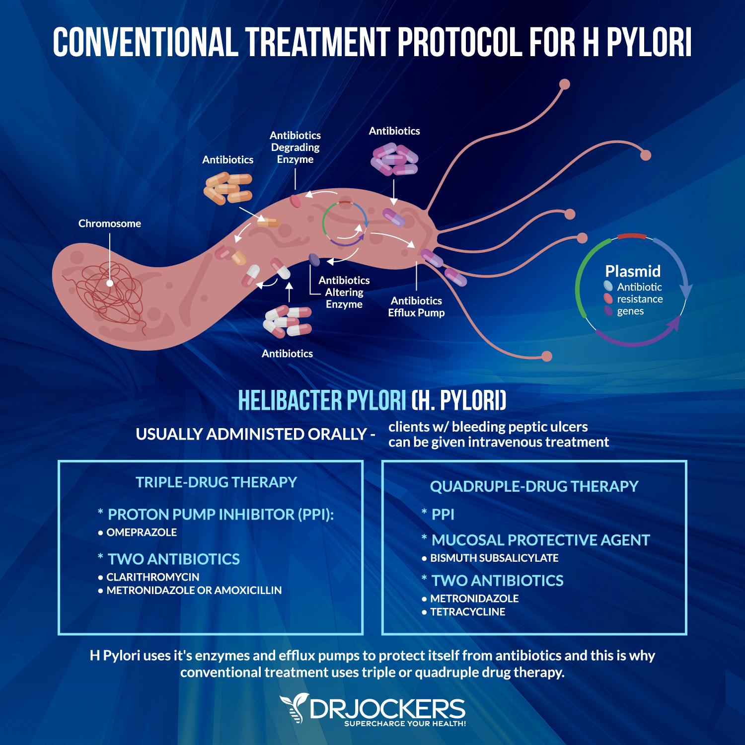 h pylori protocol