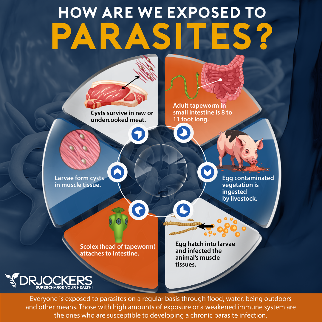 parasite infections