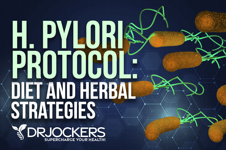 h pylori protocol