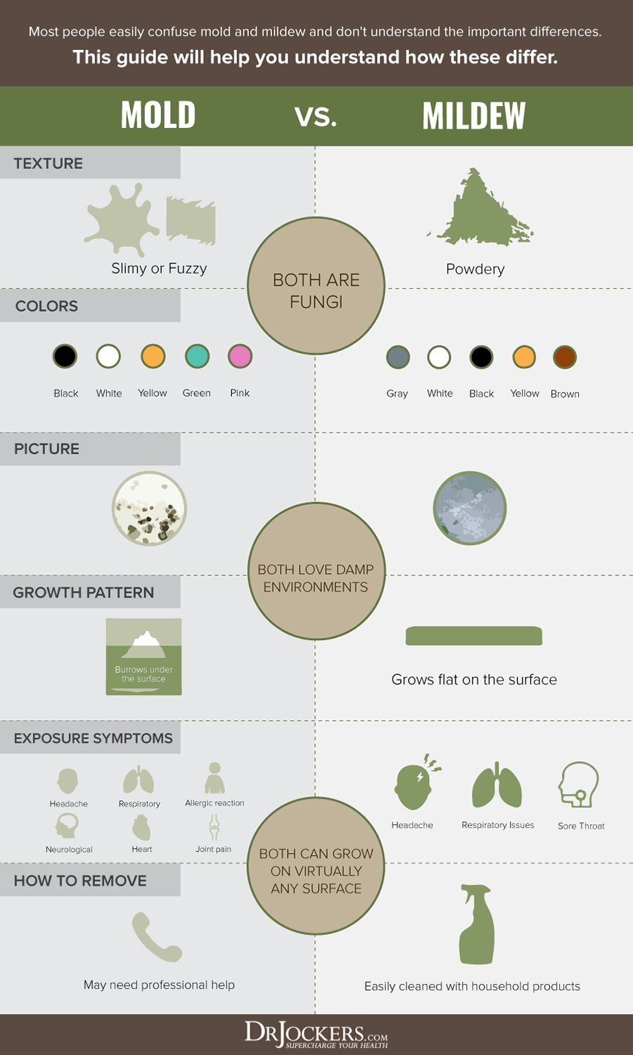 mold toxicity