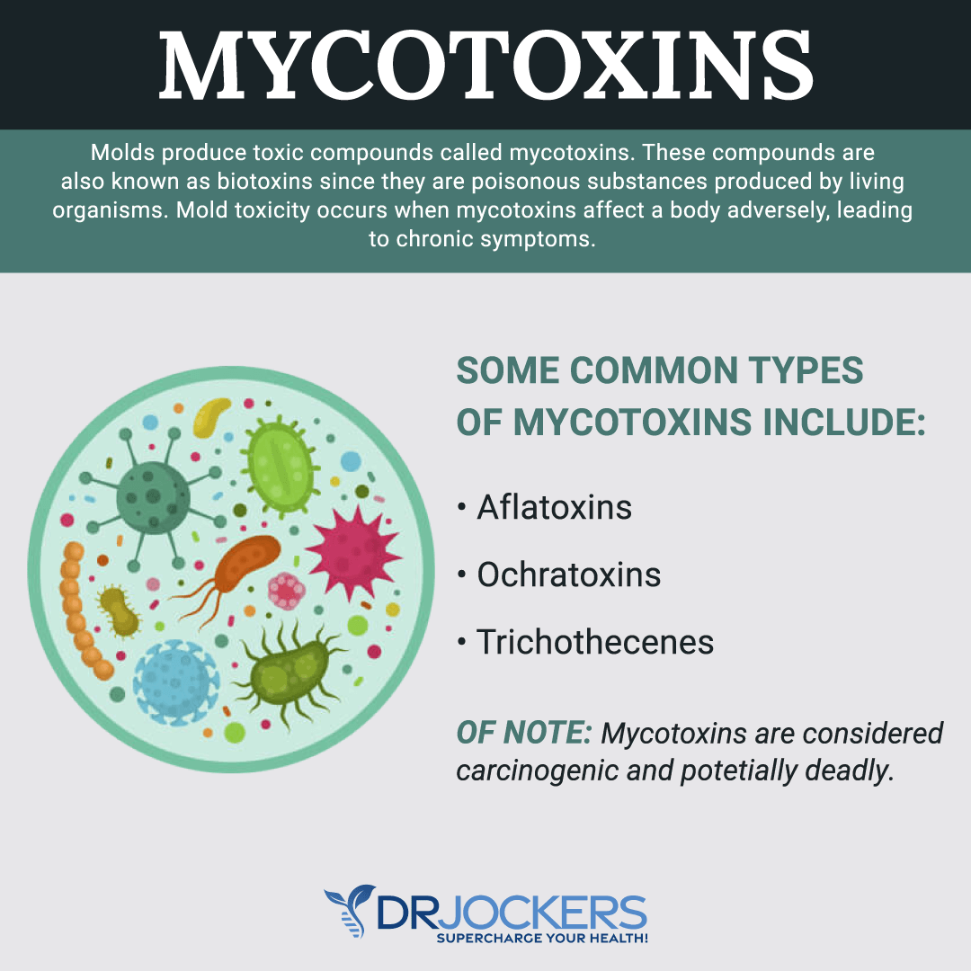 mycotoxins