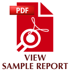 viewsamplereport